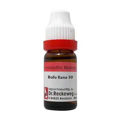 Bufo Rana